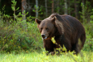 26071_gettyimages 874031994 640x420.jpg