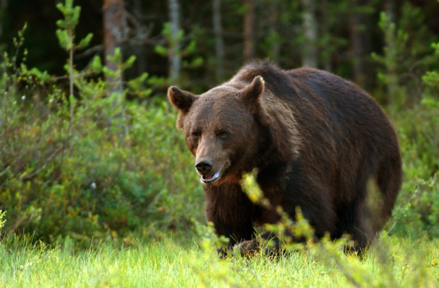 26071_gettyimages 874031994 640x420.jpg