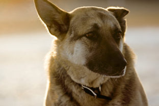 28103_thinkstockphotos 81176769 640x420.jpg