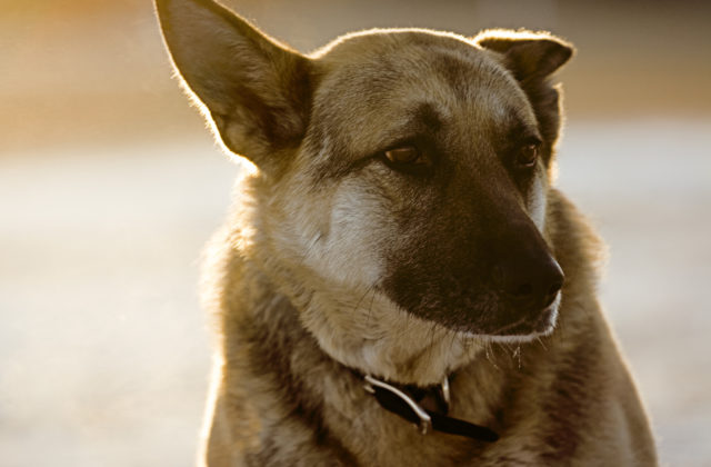 28103_thinkstockphotos 81176769 640x420.jpg