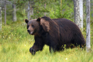 28828_thinkstockphotos 847339070 640x420.jpg