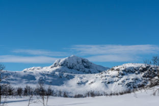 29231_gettyimages 1312096513 640x420.jpg