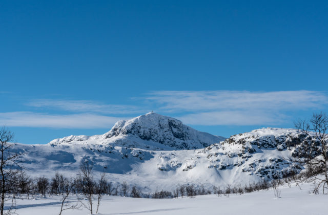 29231_gettyimages 1312096513 640x420.jpg