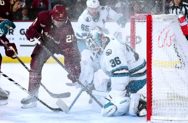 29247_milos kelemen prvy gol nhl 640x420.jpg