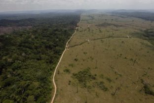 30445_brazil_environment_44664 712eac6c9f774ab0a8d3fdb96720f1c9 640x420.jpg