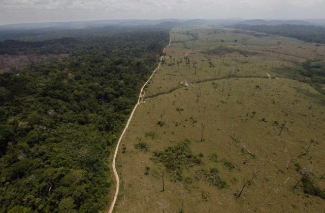 30445_brazil_environment_44664 712eac6c9f774ab0a8d3fdb96720f1c9 640x420.jpg