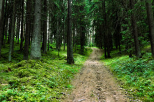 30659_gettyimages 991323734 640x420.jpg