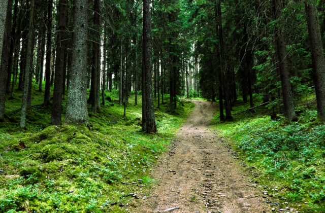 30659_gettyimages 991323734 640x420.jpg
