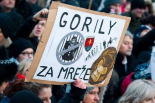 39573_mp_gorila3_010 640x420.jpg