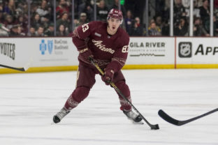 47546_wild_coyotes_hockey_53722 640x420.jpg