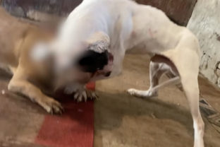 53708_sni mka obrazovky 2024 05 28 o 15.39.07 640x420.jpg