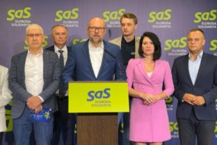 53944_titulka sas 1 640x420.jpg