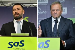 54433_viskupic ledecky 640x420.jpg