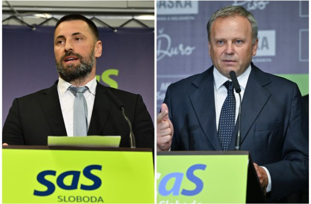 54433_viskupic ledecky 640x420.jpg