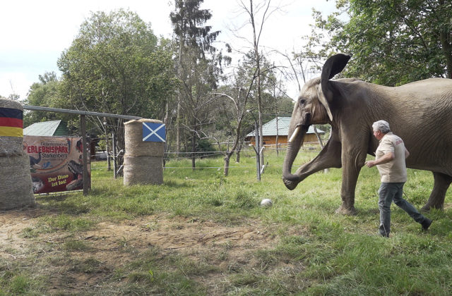 54930_euro_2024_soccer_oracle_06554 640x420.jpg