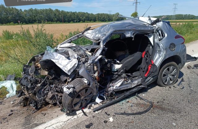 55136_448554153_874094664764111_1270806217804696079_n 640x420.jpg