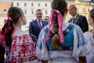 55305_pellko2 640x420.jpg