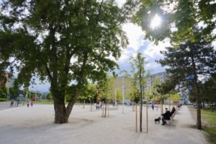 55546_417424591_766558375664041_6183852571871774295_n 640x420.jpg