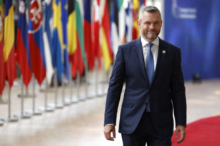 56124_pellegrini 640x420.jpg