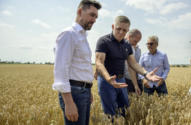 56425_668bc0b9ccf74579726037 640x420.jpg