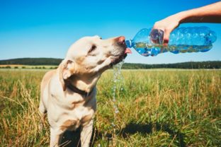 56797_gettyimages 589431650 640x420.jpg