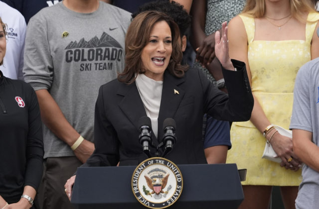 57373_election_2024_democrats_68053 640x420.jpg