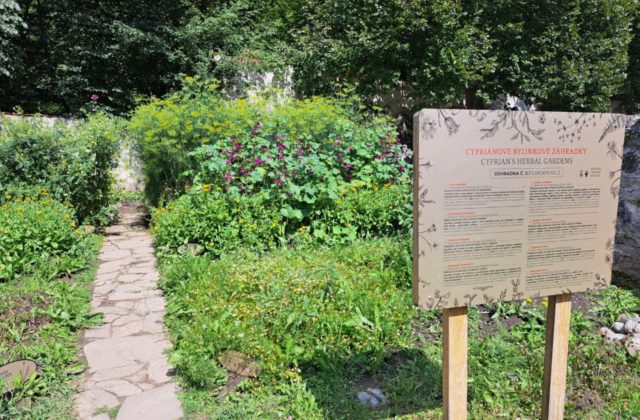 57626_img_20240727_100452_049 640x420.jpg