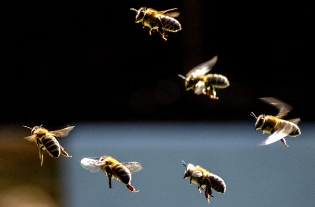 58055_germany_daily_life_71846 640x420.jpg