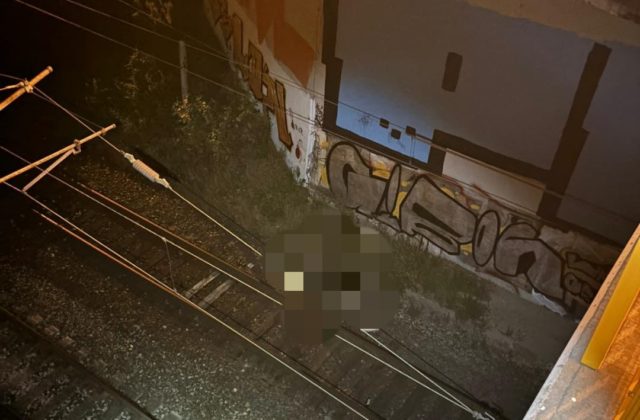 58902_455450420_811497851177650_5773644827488649078_n e1723620994193 640x420.jpg