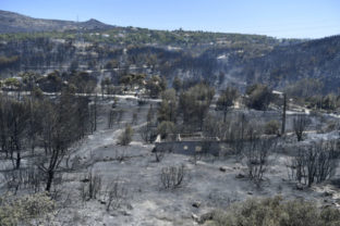 58959_grecko 640x420.jpg