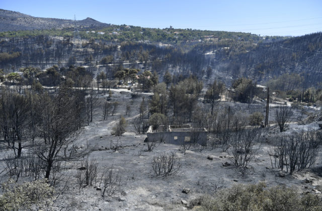 58959_grecko 640x420.jpg