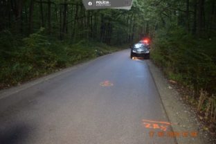 59121_456028211_938382081665207_7132712539062833302_n 640x420.jpg