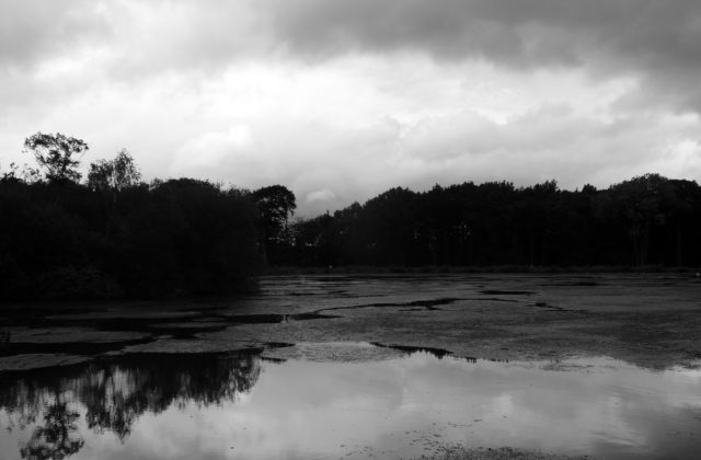 59176_jazero 640x420.jpg