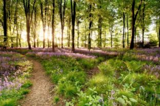 59727_gettyimages 915868276 640x420.jpg