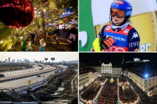 64388_top foto dna 1 6 640x420.jpg