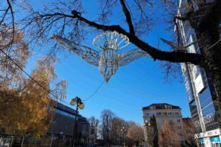 64762_6731eb6658906266732650 1 640x420.jpg