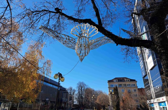 64762_6731eb6658906266732650 1 640x420.jpg