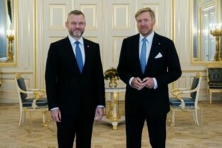 64839_pellegrini 640x420.jpg