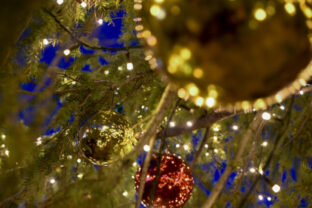 65051_trhy16 640x420.jpg