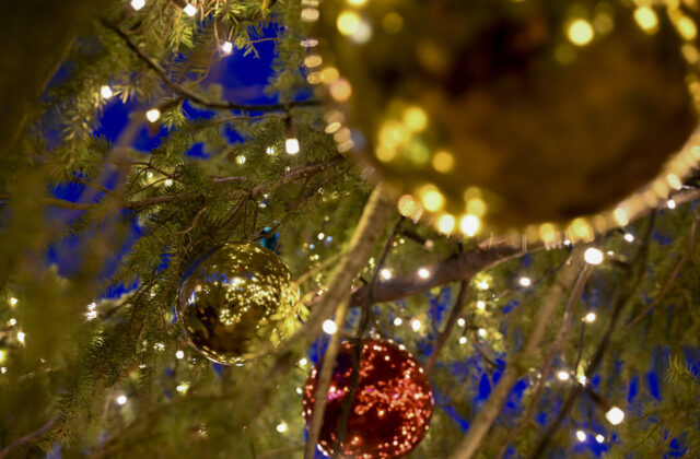 65051_trhy16 640x420.jpg