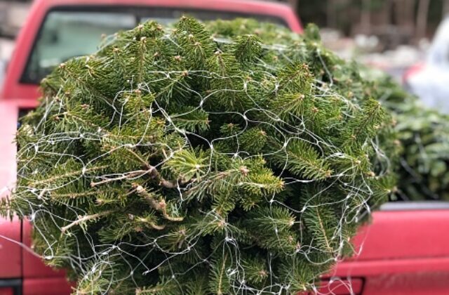 65449_gettyimages 1191111353 170667a 640x420.jpg