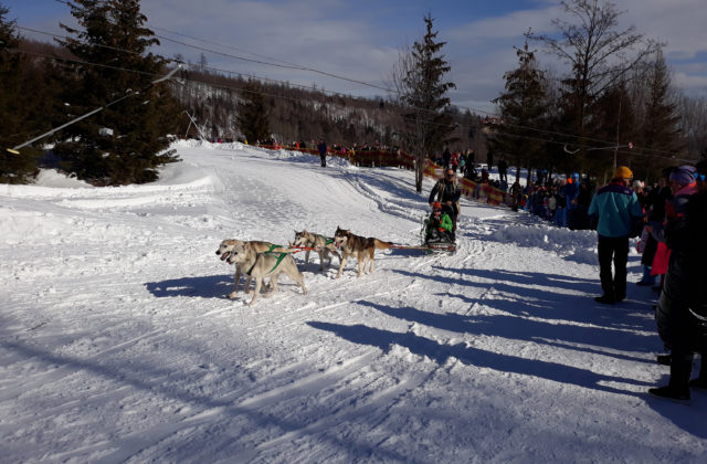 67986_08 640x420.jpg