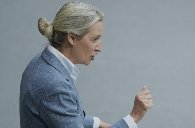 71562_germany_politics_72184 640x420.jpg