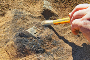 72400_archeolog 640x420.jpg