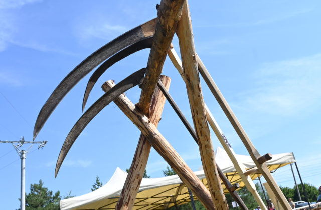 72695_66800203aff58498666199 640x420.jpg
