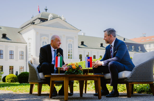 74017_prijatie prezidenta maarska tamsa sulyoka reception by the president of hungary tams sulyok_54630091426_o 640x420.jpg