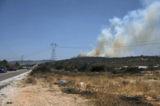 74040_turkey_wildfire_69524 640x420.jpg