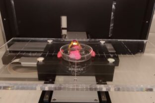 74108_obr. 2 640x420.jpg