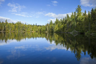74450_gettyimages 2043169611 640x420.jpg
