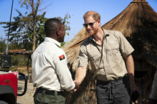 74667_prince_harry_angola_81564 640x420.jpg